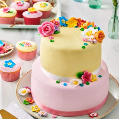Rolfondant Multipack Pink Colour Palette